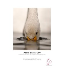 Photo Luster 290g/m² - 24"x30m