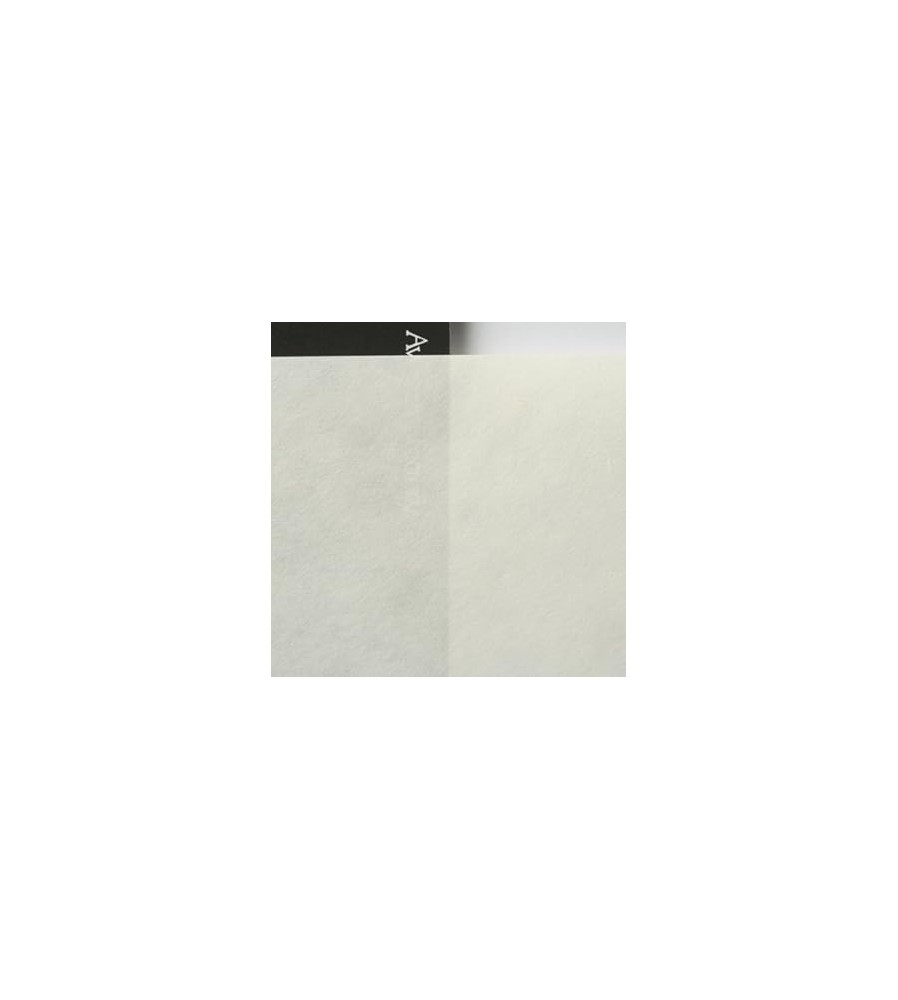 Papier AWAGAMI AIP Mitsumata Blanc Double couche 95g A4 (20 feuilles)